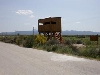 Kalloni Salt Pans Hide (West)