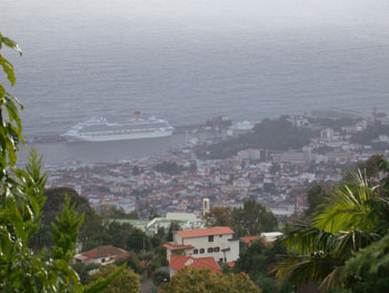Funchal Harbour from Monte Palace