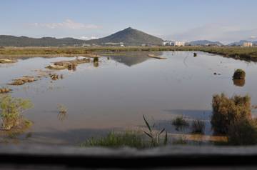 Albufera