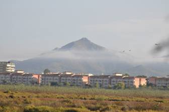 View from Bishops hide (1)