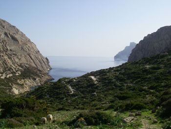 Boquer Valley as it reaches the sea, near the Marmora's Warbler site