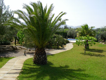 Villa les Oliveras pool and garden