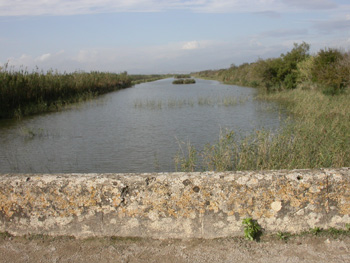 Grand Canal Albufera