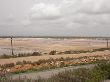 Salinas de Levante