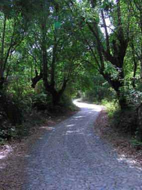 La Bufa Road