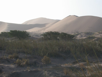 Rooibank dunes
