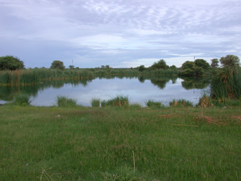 One of the ponds at Rundu Sewage Works