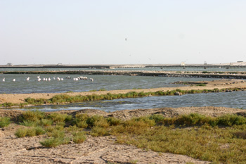 Swakopmund Salt Pans