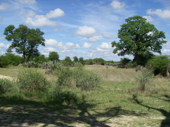 Mahango Game Preserve