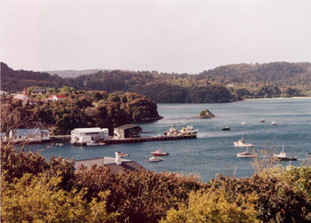 Stewart Island Halfmoon Bay