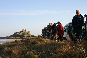 The group enjoying birds and the early evening sunshine at Stag Rocks, Bamburgh © David Mason