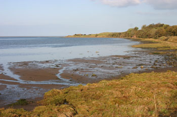 Budle Bay with the tide approaching fast © David Mason