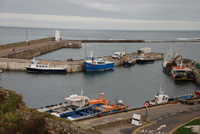 Seahouses Harbour from our hotel © Dave Betts