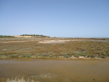 View over central portion of Alvor Estuary with Alvor in the background