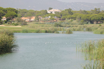 Golf course lake at Quinta do Lago