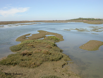 Alvor estuary