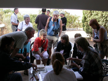 Bird ringing Alvor