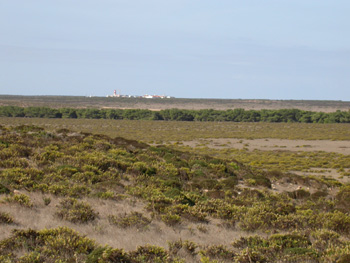 Cape St Vincent grasslands with distant lighthouse