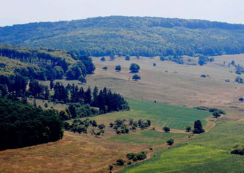 Romanian countryside viewed from Rupea Fortress