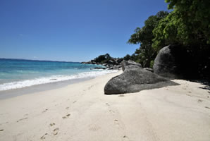 Beach by the Carana Beach Hotel Mahe