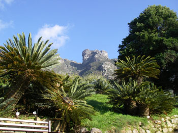 Kirstenbosch Botanical Gardens