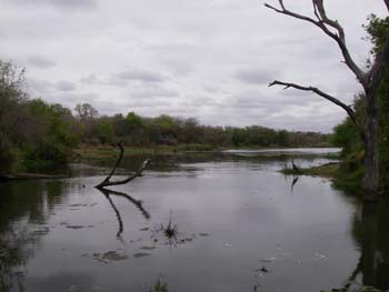 Lake Panic near Skukuza