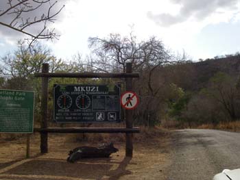 Mkhuze entrance gate at Mshopi