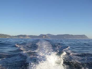 Heading out to sea on the pelagic with Simon's Town in the background