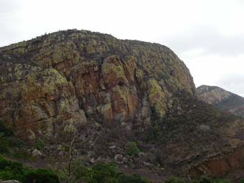 Rock face opposite Taita Falcon Eyrie