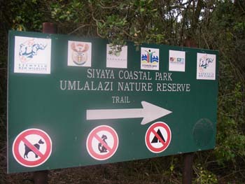 Forest trail at Siyaya Coastal Park