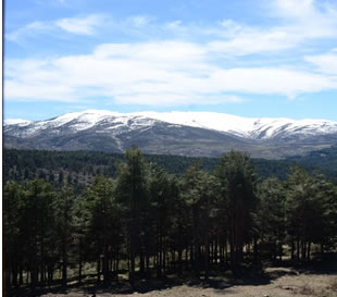 Plataforma de Gredos