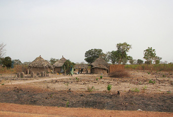 Houses on road inland
