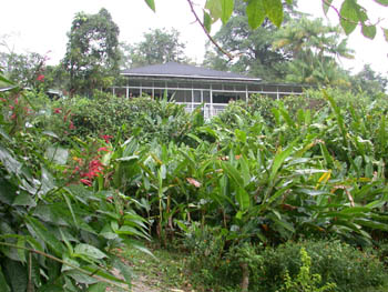 Asa Wright Nature Centre