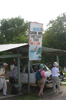 Caroni Swamp boat tour