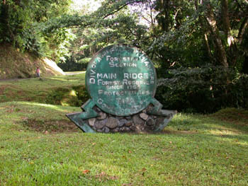 Tobago Main Ridge Forest Reserve