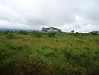 Arusha National Park