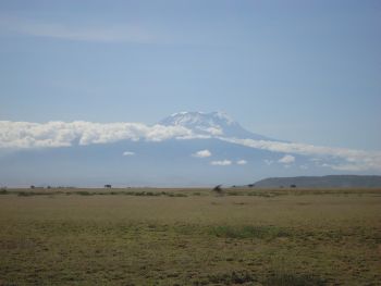 Kilimanjaro and Lark Plains