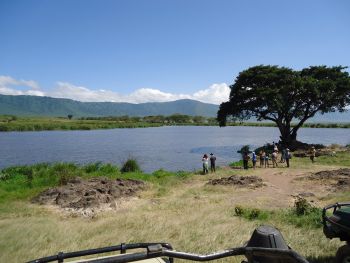 Ngorongoro Songor Swamp