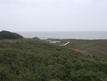 View from Tower at Aransas NWR