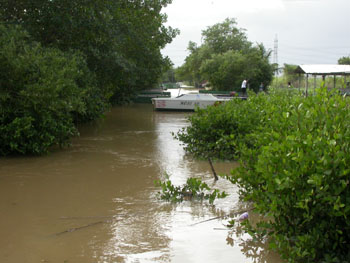 Caroni Swamp boat launch site after heavy rain
