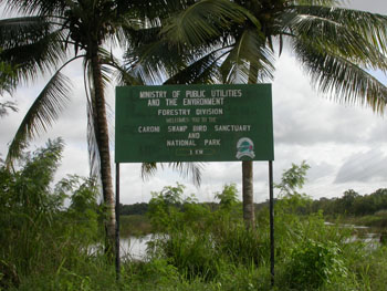 Caroni Swamp