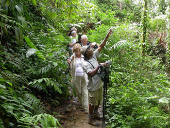 Gilpin Trace birding