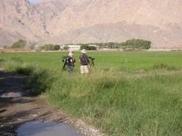 Fujairah Dairy Farm